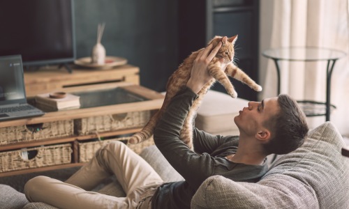 Happy pet with its owner 
