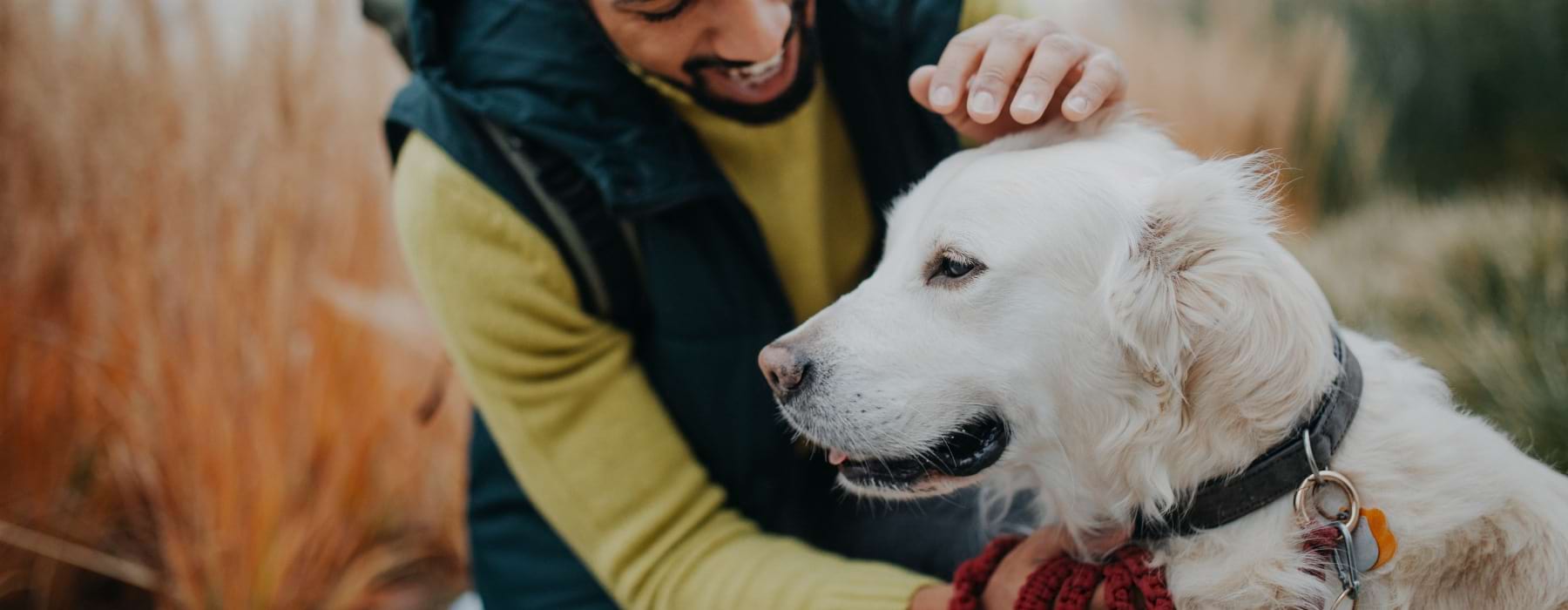 Pet Friendly