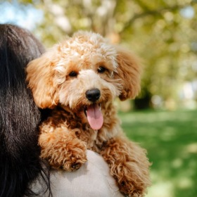 a woman holding a dog