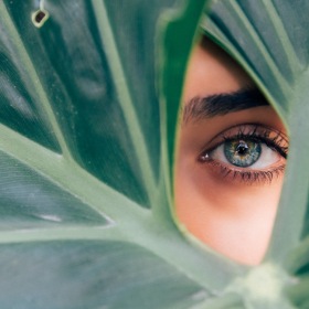 a person looking through a plant